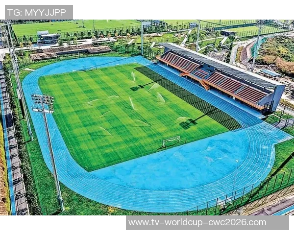 武汉江汉足球崛起之路探索地方足球文化与社区发展的新机遇